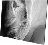 Neushoorn close-up | 150 x 100 CM | Wanddecoratie | Dieren op plexiglas | Schilderij | Plexiglas | Schilderij op plexiglas