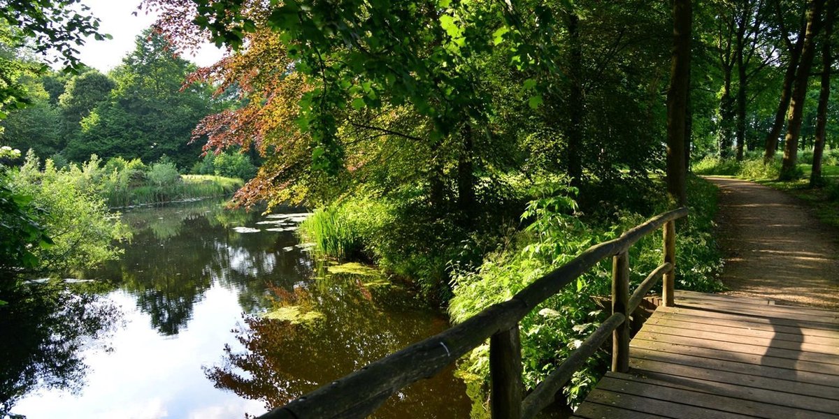 Fotobehang Kasteeltuin Hemmen met bruggetje en vijver 350 x 260 cm - € 235,--