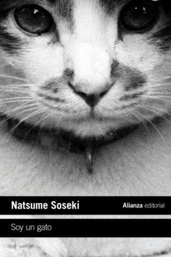 El libro de bolsillo - Literatura - Soy un gato