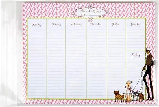 Sacs en plastique 22,9x30,5 cm transparents et refermables (250 pièces)