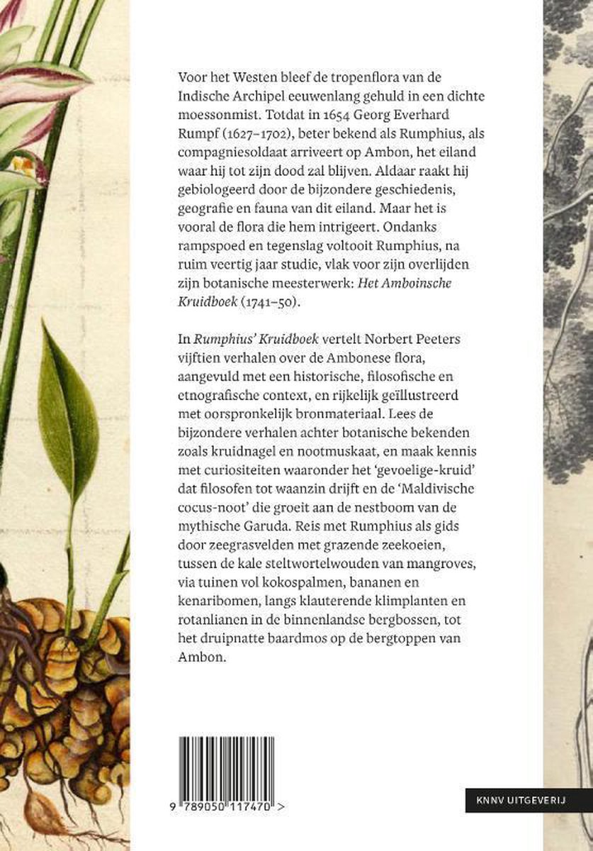 Rumphius' Kruidboek - back cover