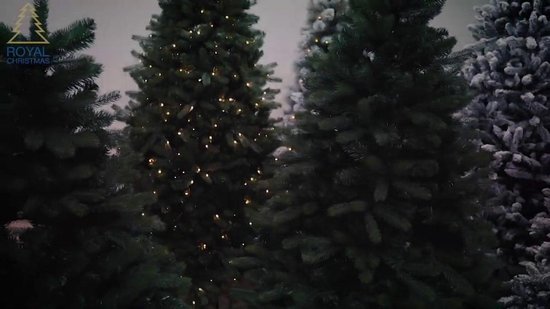 Royal Christmas® - Kunstkerstboom PVC Washington Deluxe met Warm LED  verlichting... | bol.com