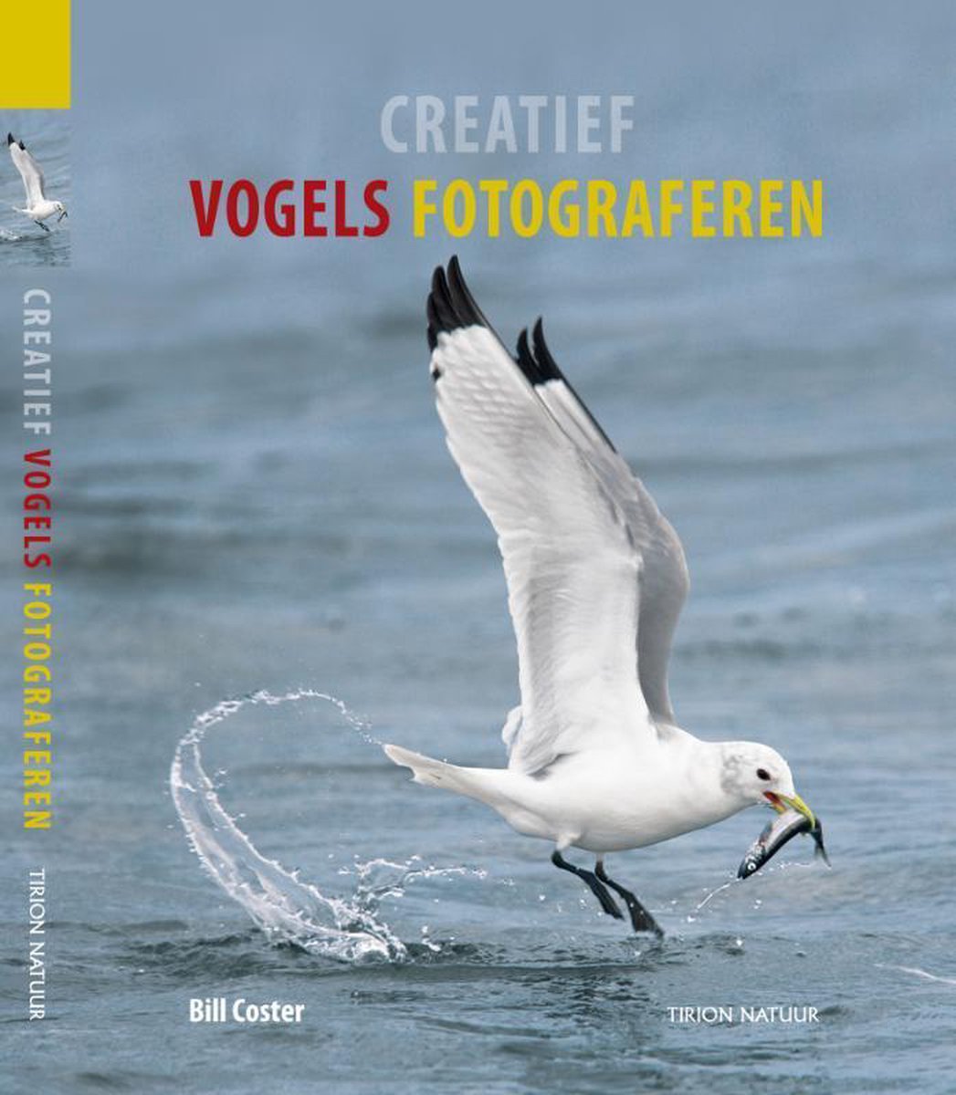 Creatief Vogels Fotograferen - Bill Coster