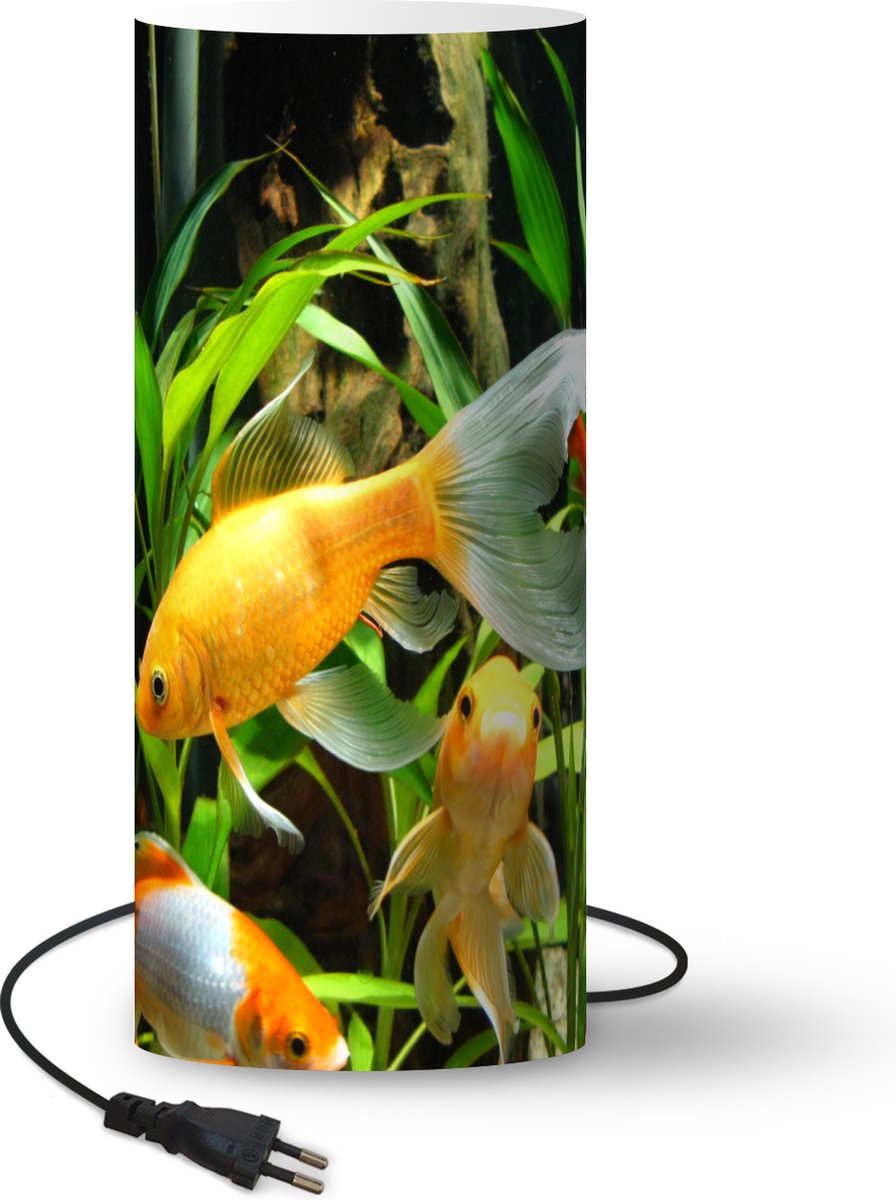 hooi winkelwagen medeleerling Lamp Goudvissen - Goudvissen in aquarium - 33 cm hoog - Ø14 cm - Inclusief  LED lamp | bol.com