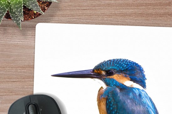 Muismat XXL 40x40 cm - Bureau onderlegger - Bureau mat IJsvogel - Veren - Tak - Blauw - Bureaumat - Gaming mousepad xl - Bureaulegger groot - Computer deskmat