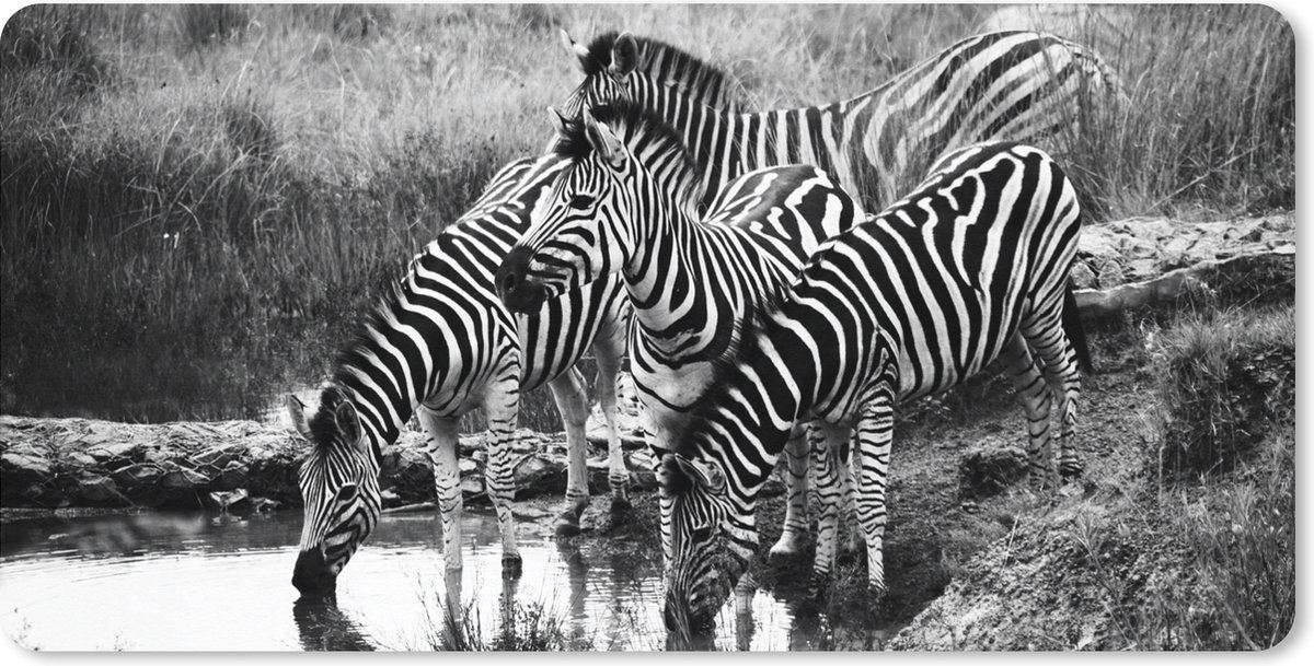 Muismat XXL 80x40 cm - Bureau onderlegger - Bureau mat Drinkende zebra's - Bureaumat - Gaming mousepad xl - Bureaulegger groot - Computer deskmat