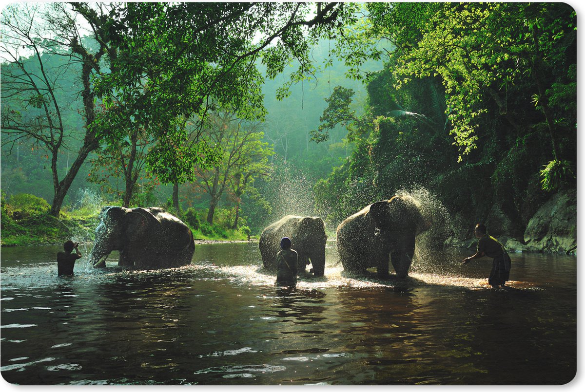 Muismat XXL 90x60 cm - Bureau onderlegger - Bureau mat Olifant - Water - Bomen - Groen - Dieren - Bureaumat - Gaming mousepad xl - Bureaulegger groot - Computer deskmat