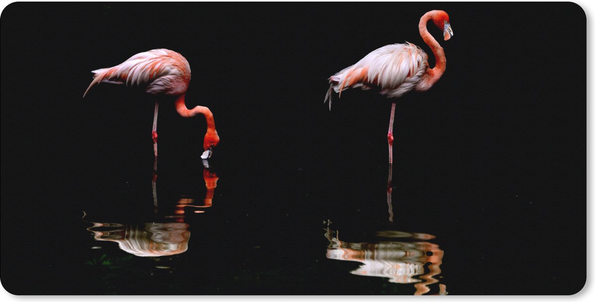 Muismat XXL 90x45 cm - Bureau onderlegger - Bureau mat Twee flamingo's staan in het water - Bureaumat - Gaming mousepad xl - Bureaulegger groot - Computer deskmat