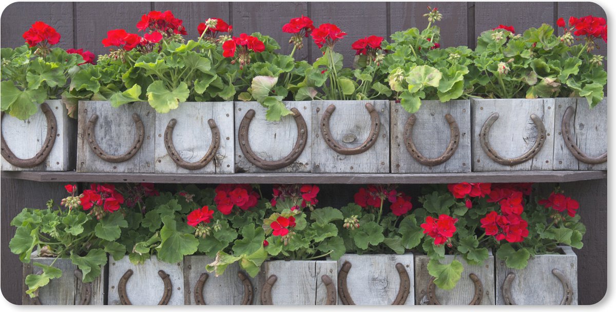 Muismat XXL 80x40 cm - Bureau onderlegger - Bureau mat Rijen dozen met rode geraniums - Bureaumat - Gaming mousepad xl - Bureaulegger groot - Computer deskmat