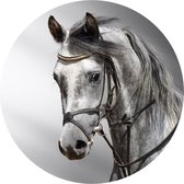 Ronde Muursticker Paard Zwart Wit | ⌀ 50 cm | Zelfklevend | Wanddecoratie | Muurcirkel Binnen