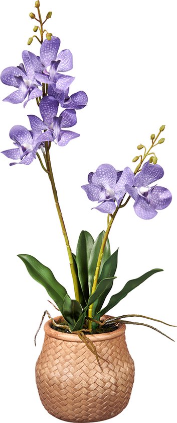 Kunstplant wilde Orchidee 2-tak lila H53cm - HTT Decorations