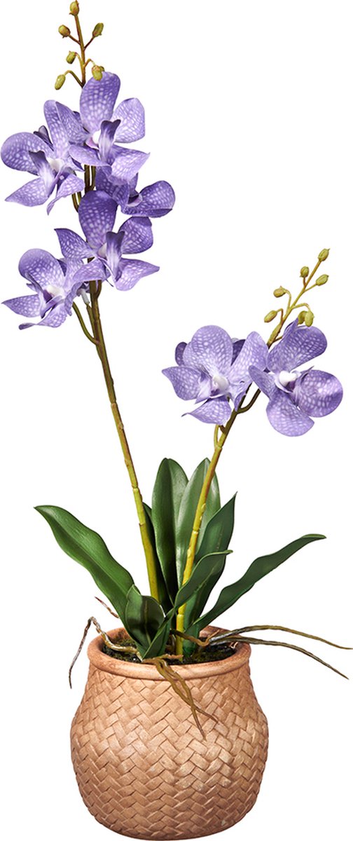 HTT Decorations Kunstplant wilde Orchidee 2-tak lila H53cm - HTT Decorations kunstplanten