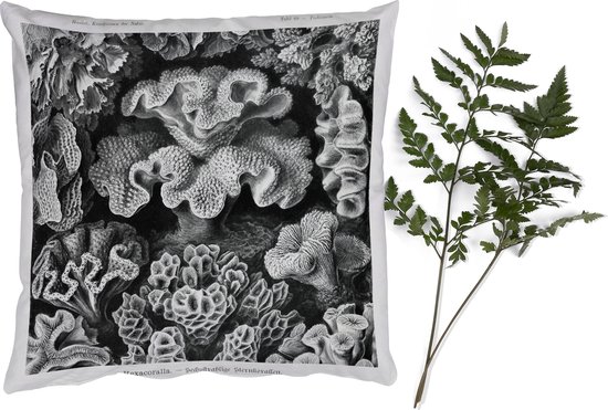 Sierkussens - Kussentjes Woonkamer - 60x60 cm - Kunst - Koraal - Ernst Haeckel - Oude meesters - Natuur
