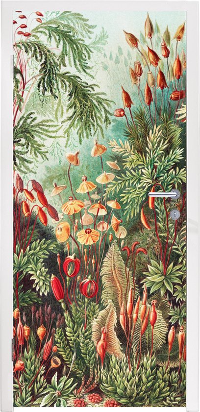 Deursticker Bloemen - Kunst - Vintage - Natuur - Botanisch - 90x215 cm - Deurposter