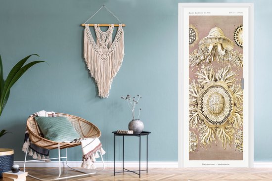 Sticker de porte Vintage - Ernst Haeckel - Méduse - Art - 90x235 cm - Affiche de porte