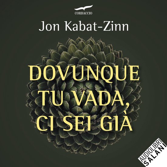 Dovunque tu vada, ci sei già - cover