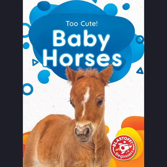 Baby Horses - cover
