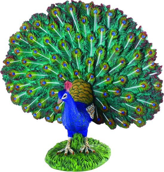 COLLECTA Figurine - Pauw - (L) - Boerderijdieren - Handgeschilderd - Miniatuur
