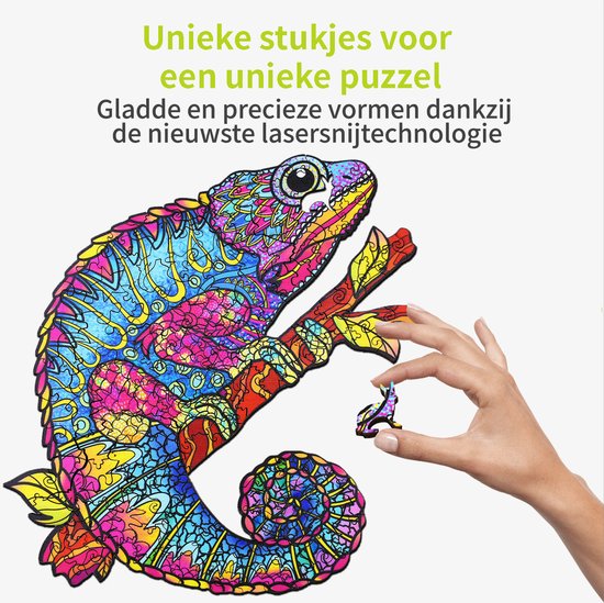 Ravensburger