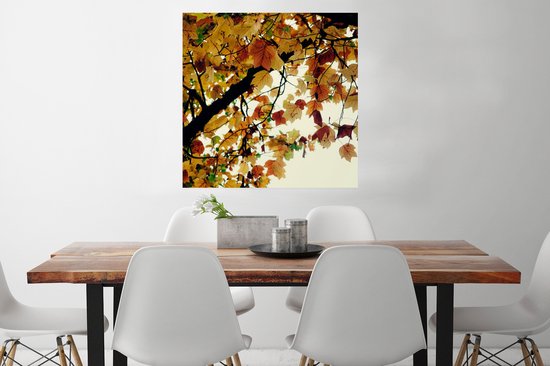 Poster Arbres - Feuilles d'automne - Nature - 75x75 cm