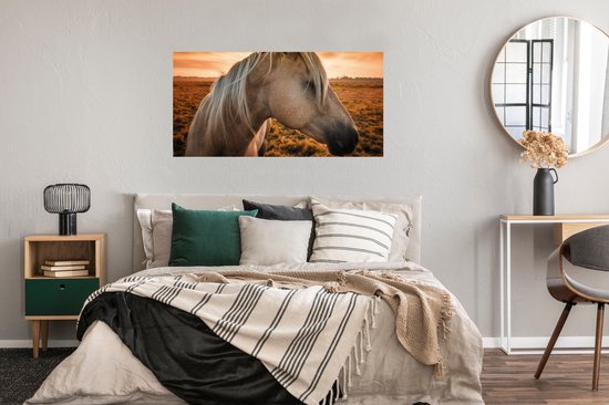 Poster Cheval - Animaux - Portrait - 120x60 cm