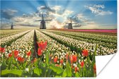 Poster Windmolen - Tulpen - Lucht - Natuur - 120x80 cm