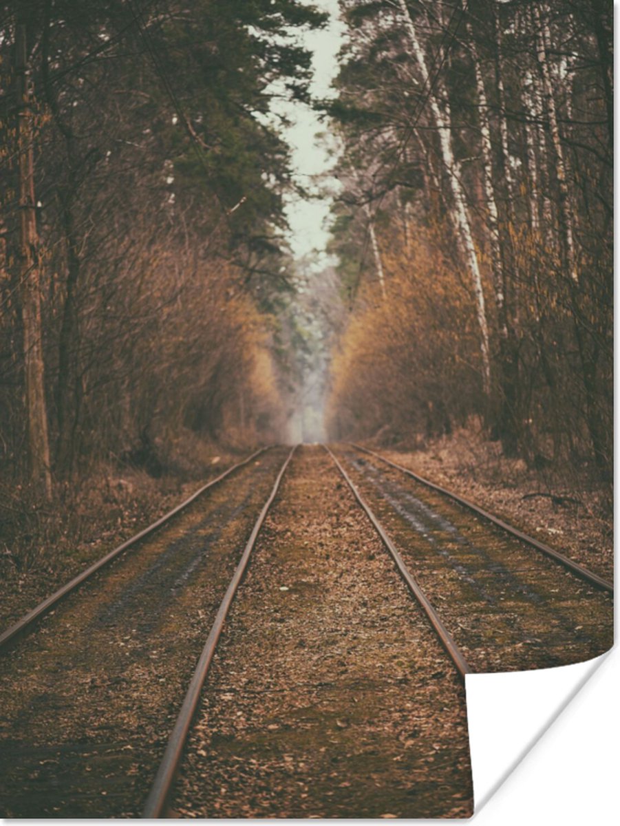 Poster Treinspoor - Pad - Bos - Boom - 30x40 cm