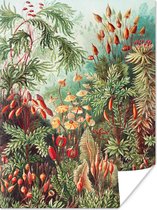 Poster Bloemen - Kunst - Vintage - Natuur - Botanisch - 60x80 cm