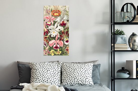 Affiche Fleurs - Ernst Haeckel - Vintage - Orchidée - 40x80 cm