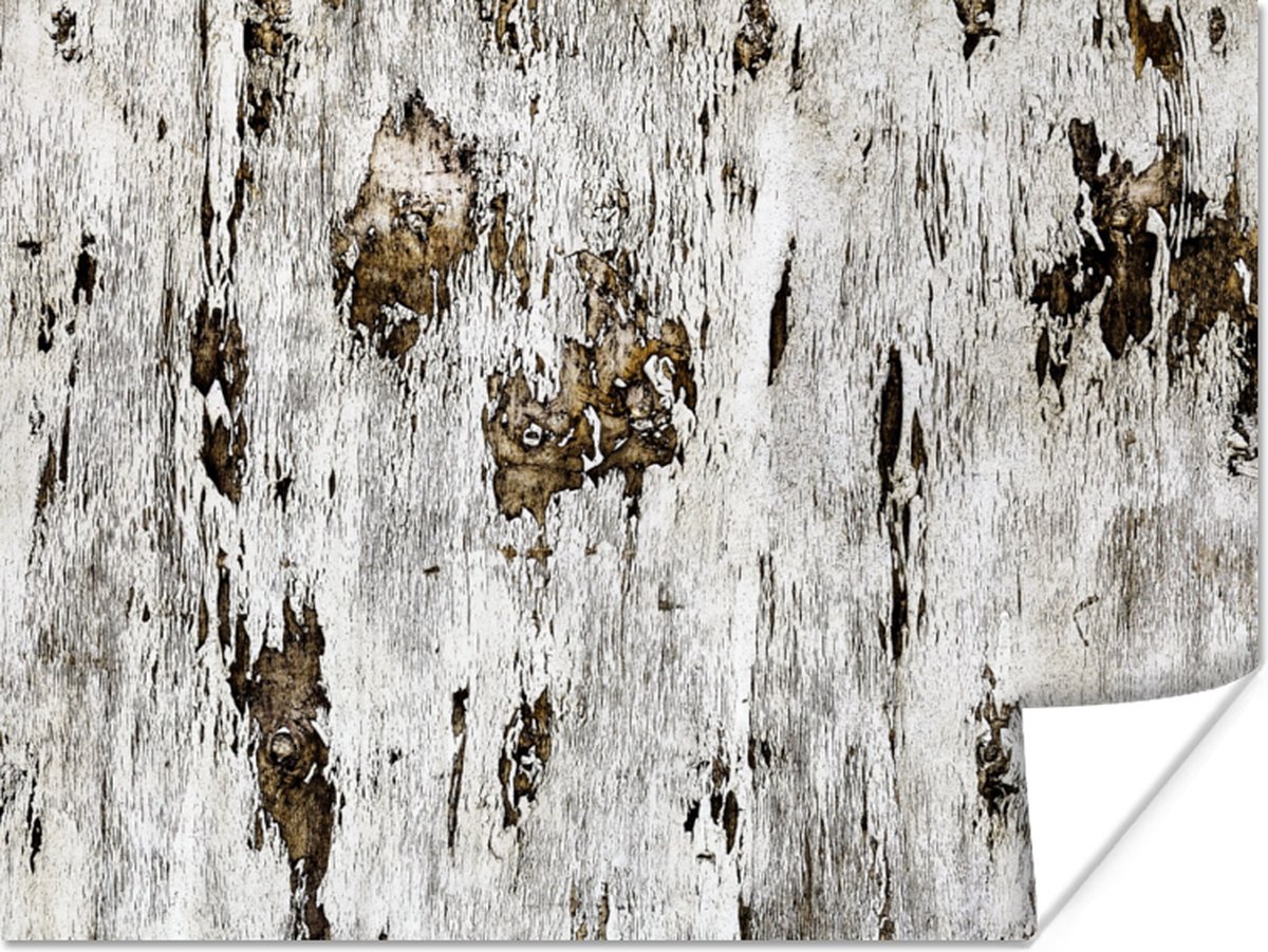 Poster Berk - Wit - Hout - 80x60 cm