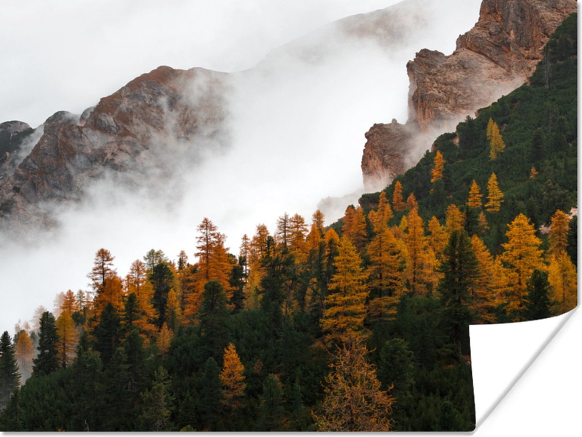 Poster Berg - Mist - Bos - 80x60 cm