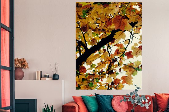 Affiche Arbres - Feuilles d'automne - Nature - 120x180 cm XXL