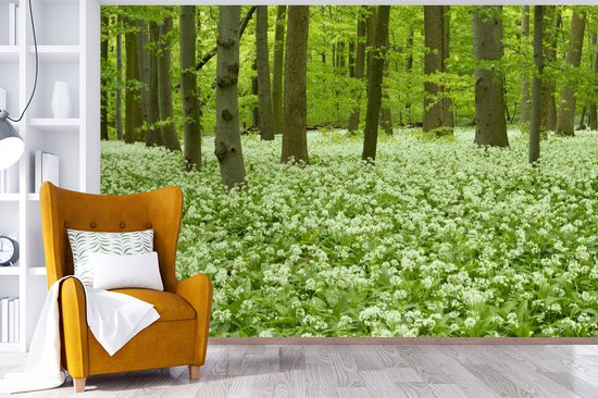 Papier peint photo vinyle - Fleurs Witte dans une forêt en fleurs du parc national du Hainich en Allemagne largeur 390 cm x hauteur 260 cm - Tirage photo sur papier peint (disponible en 7 tailles)