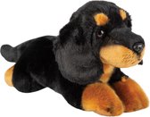 Pluche knuffel dieren zwarte Tekkel hond 30 cm - Speelgoed knuffelbeesten - Honden soorten