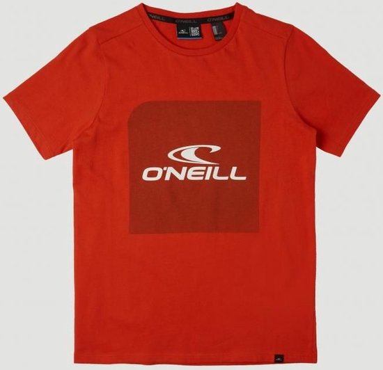 O'neill T-Shirts Cube Ss T-Shirt