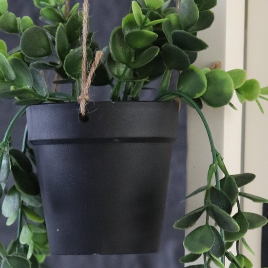 Panier Suspendu - Pot Suspendu Senecio - Plante Suspendue en Pot - Sur Corde 65cm - Plante Plastique en Pot - Suspension Plante