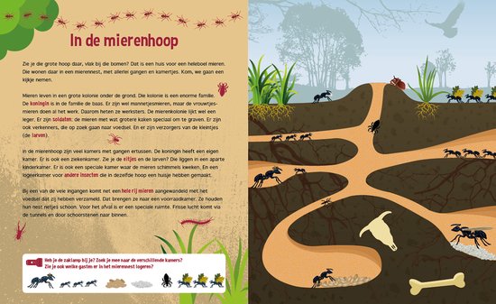 Pagina uit kinderboek met illustraties van een mierenhoop en mieren.