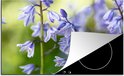 Product afbeelding  15