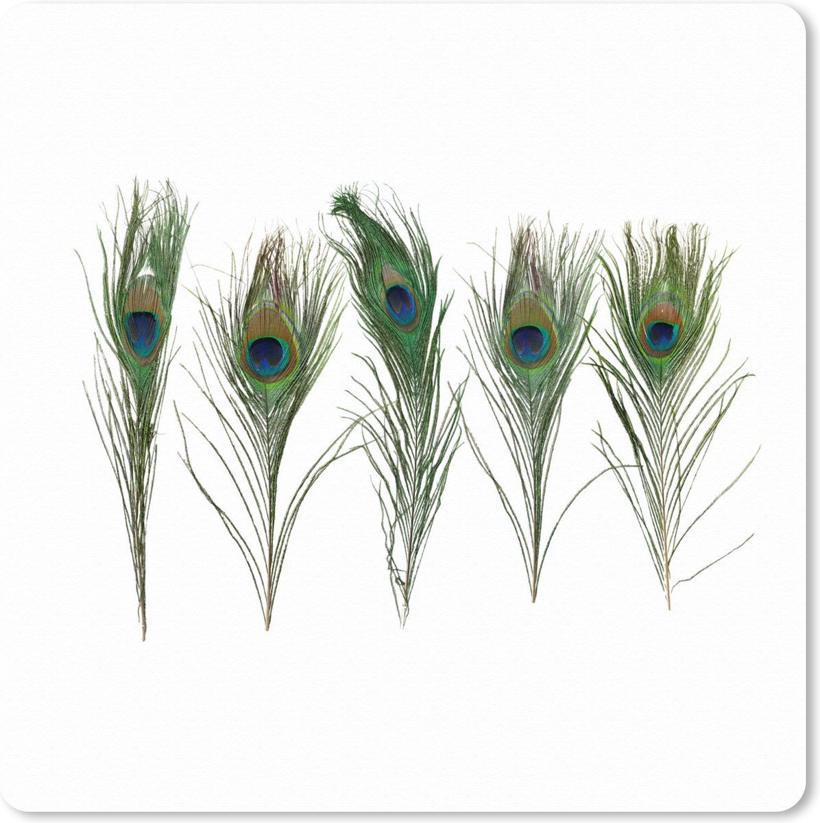 Muismat XXL 50x50 cm - Bureau onderlegger - Bureau mat Pauwenveren - Wit - Groen - Bureaumat - Gaming mousepad xl - Bureaulegger groot - Computer deskmat