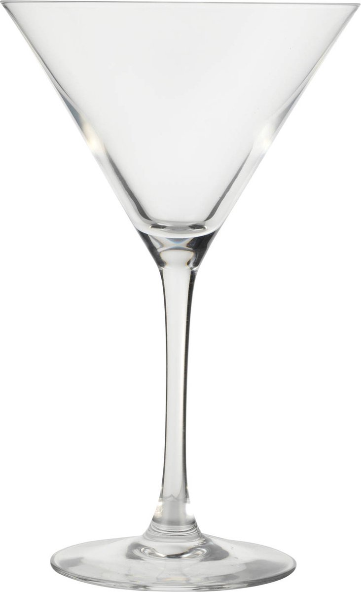 Blokker Martini Glazen - 30 cl - 2 stuks | bol.com