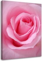 Trend24 - Canvas Schilderij - Roze Rozenblaadjes - Schilderijen - Bloemen - 40x60x2 cm - Roze