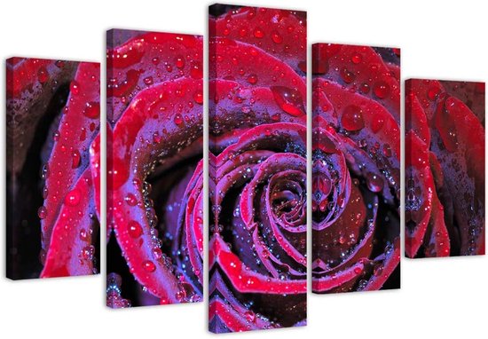 Trend24 - Canvas Schilderij - Dewed Rose - Vijfluik - Bloemen - 100x70x2 cm - Rood