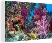 Les couleurs vives du corail avec différentes toiles de poissons nageurs 60x40 cm - Tirage photo sur toile (Décoration murale salon / chambre)