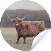 Tuincirkel Schotse Hooglander - Gras - Heuveltoppen - 90x90 cm - Ronde Tuinposter - Buiten