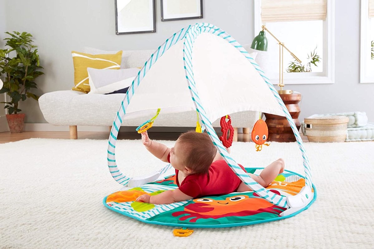 Fisher Price Draagbare Gym