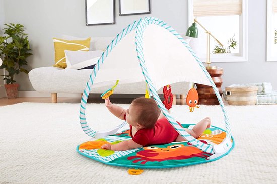 Fisher Price Draagbare Gym van Fisher Price — afbeelding 2