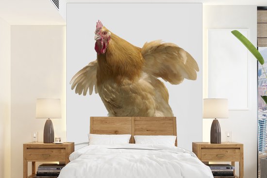 Behang Fotobehang Kip Klapt Met Vleugels Breedte 160 Cm X Hoogte Behang Fotobehang Kip Klapt Met Vleugels Breedte 160 Cm X Hoogte