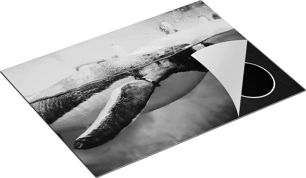 Chefcare Inductie Beschermer Pinguïn Zwemt in het Water - Zwart Wit - 70x52 cm - Afdekplaat Inductie - Kookplaat Beschermer - Inductie Mat