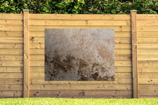 Affiche de jardin - Pampa - Herbe de la pampa plante de jardin - Plantes - Nature - Rose - 160x120 cm - Affiche de jardin fleurs - Jardin - Décoration murale - Décoration murale - Toile de jardin - Affiche extérieure