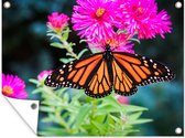 Tuinposter - Bloem - Vlinder - Roze - Lente - Tuindoeken voor buiten - 40x30 cm - Tuindoek